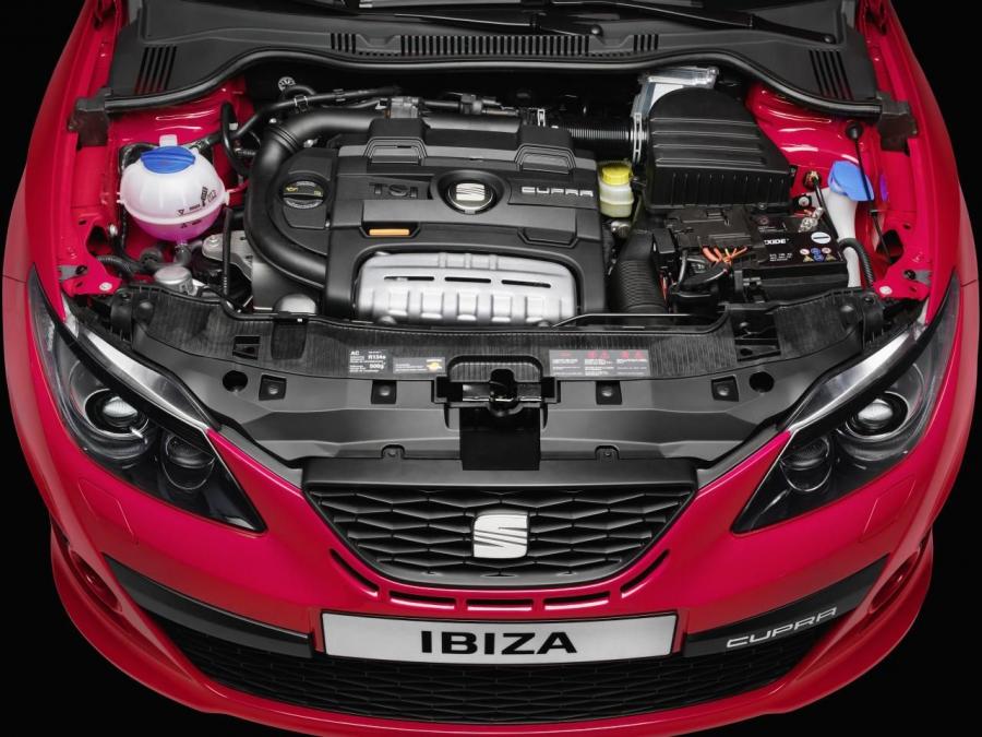  Seat Ibiza Cupra 2008 года  (фото 8 из 36)